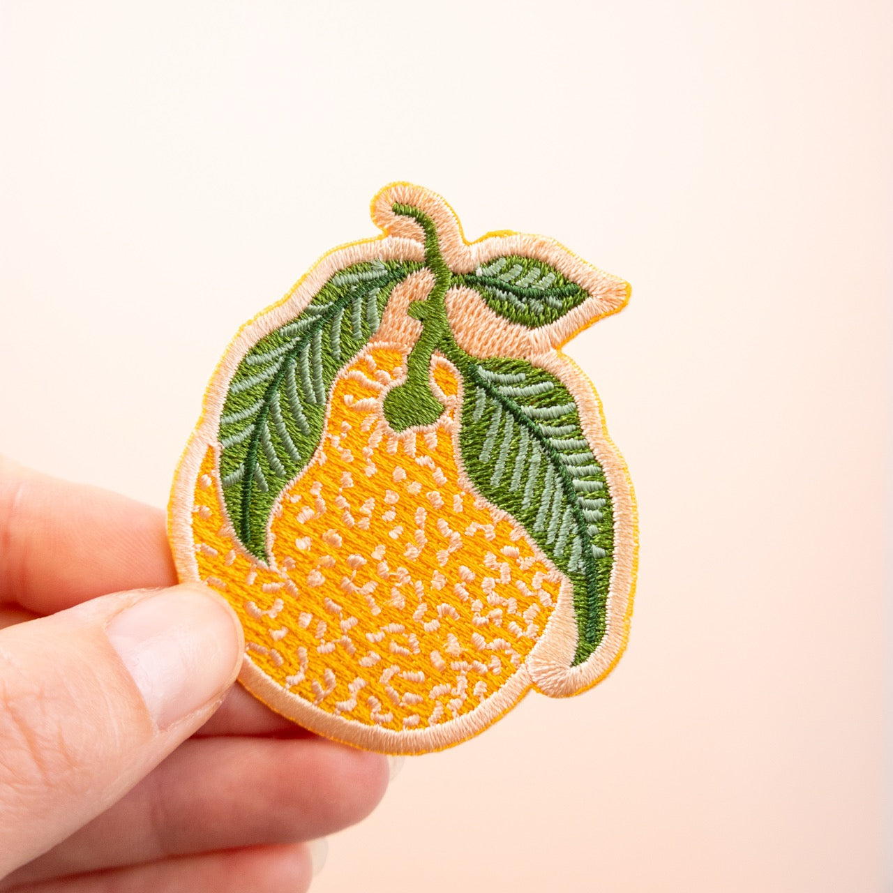 Embroidered Iron On Vegetable Carrot Patch Sew On Badge Clothes Craft Embroidery - Foto 6