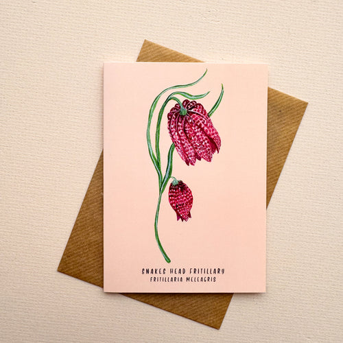 *SECOND* Super Seconds Festival - Snakes Head Fritillary Watercolour Illustration A6 Greeting Card