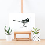 Pied Wagtail Bird Giclée Print - 18 x 24 cm