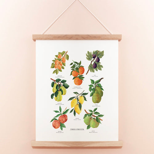 Tree Fruits Illustrated Giclée Print - 30x40cm