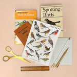 British Birds A5 Eco Vinyl Sticker Sheet