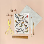 British Birds A5 Eco Vinyl Sticker Sheet