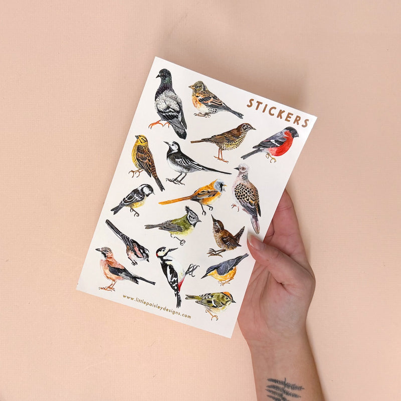 British Birds A5 Eco Vinyl Sticker Sheet