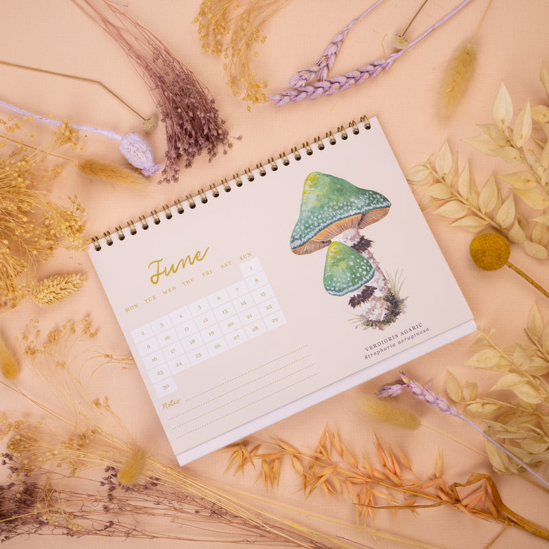 2025 British Mushrooms Illustrated Desk Calendar