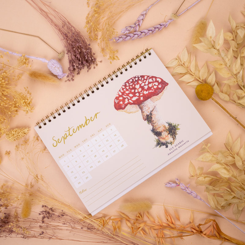 2025 British Mushrooms Illustrated Desk Calendar