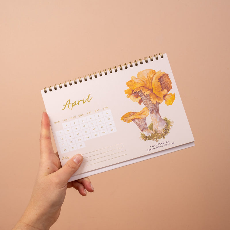 2025 British Mushrooms Illustrated Desk Calendar