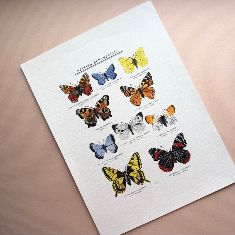 *SECOND* Super Seconds Festival - British Butterflies Giclée Print - 30 x 40 cm