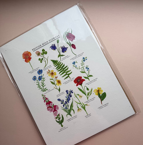 *SECOND* Super Seconds Festival - British Wild Flowers Giclée Print - 30x40cm