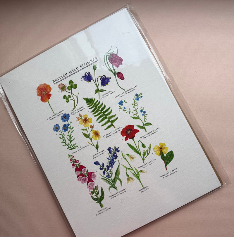 *SECOND* Super Seconds Festival - British Wild Flowers Giclée Print - 30x40cm