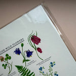 *SECOND* Super Seconds Festival - British Wild Flowers Giclée Print - 30x40cm