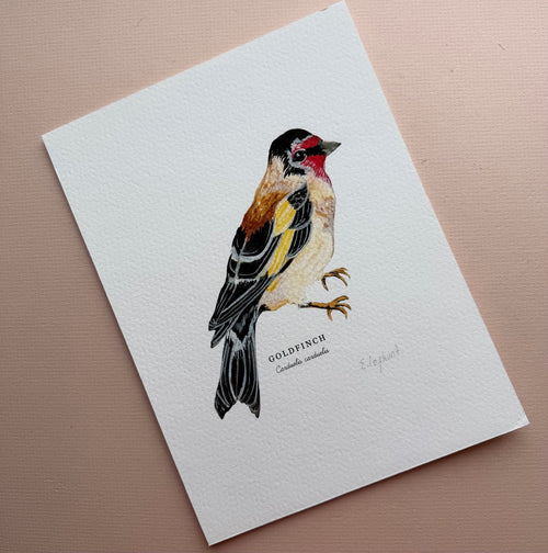 *SECOND* Super Seconds Festival - Goldfinch Illustrated Giclée Print -18 x 24 cm