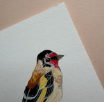 *SECOND* Super Seconds Festival - Goldfinch Illustrated Giclée Print -18 x 24 cm