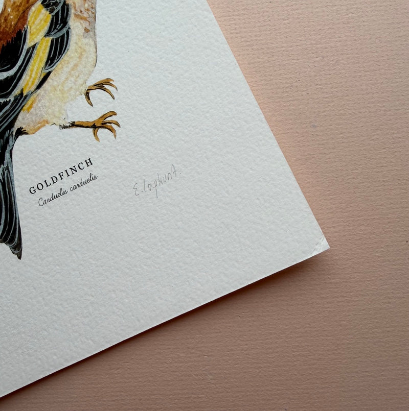*SECOND* Super Seconds Festival - Goldfinch Illustrated Giclée Print -18 x 24 cm