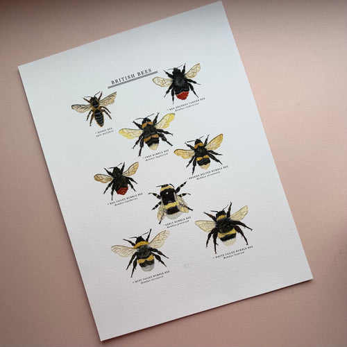 *SECOND* Super Seconds Festival - British Bees Giclee Print - 30x40cm