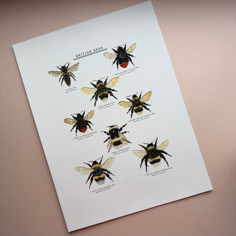 *SECOND* Super Seconds Festival - British Bees Giclee Print - 30x40cm