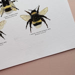 *SECOND* Super Seconds Festival - British Bees Giclee Print - 30x40cm