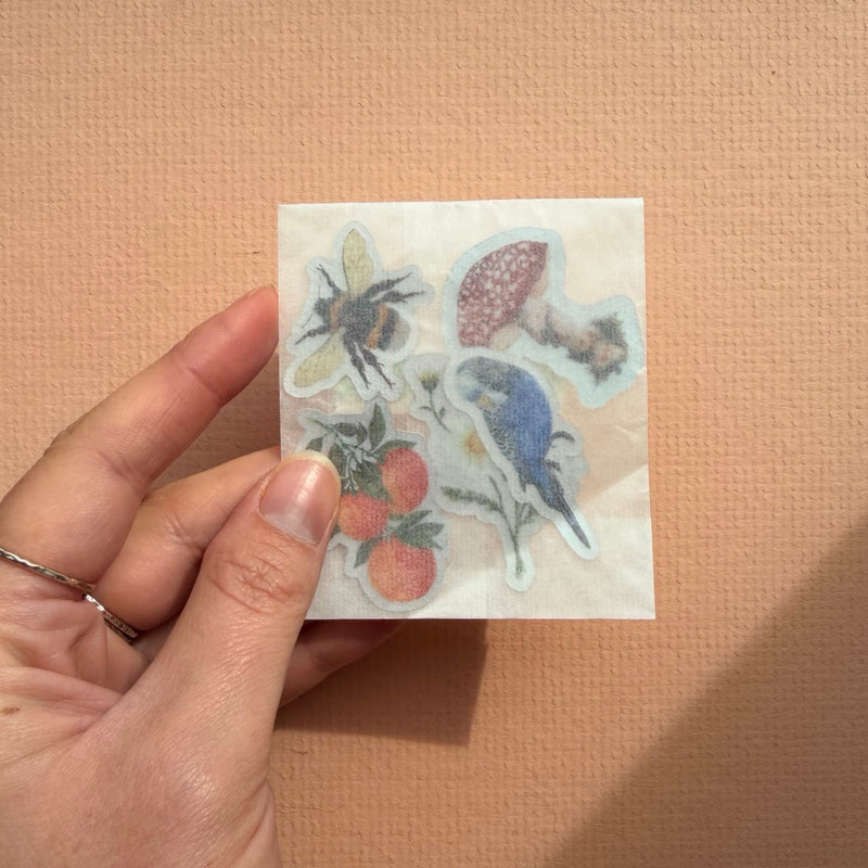 *SAMPLE* Super Seconds Festival - Pack of 5 mini vinyl stickers nature illustrations