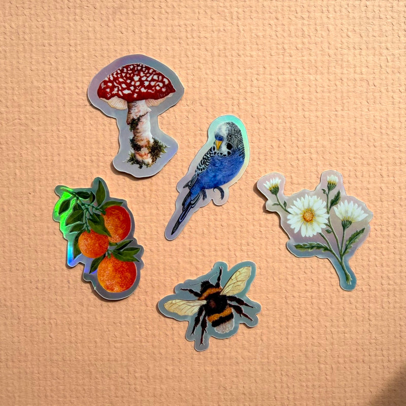*SAMPLE* Super Seconds Festival - Pack of 5 mini vinyl stickers nature illustrations