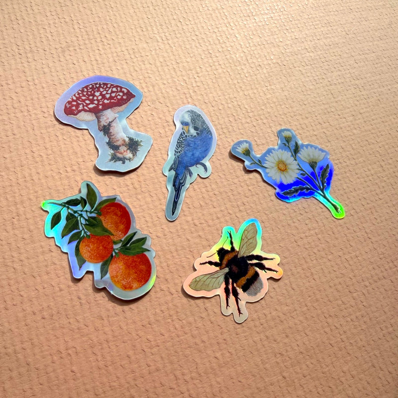 *SAMPLE* Super Seconds Festival - Pack of 5 mini vinyl stickers nature illustrations
