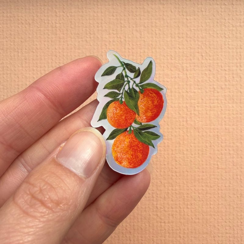 *SAMPLE* Super Seconds Festival - Pack of 5 mini vinyl stickers nature illustrations