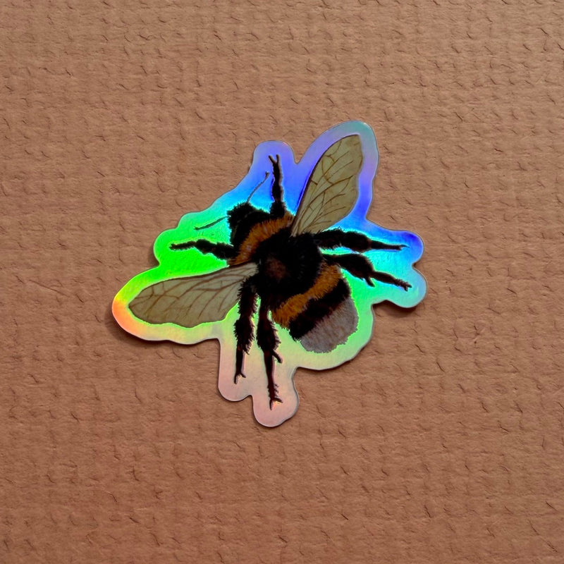 *SAMPLE* Super Seconds Festival - Pack of 5 mini vinyl stickers nature illustrations
