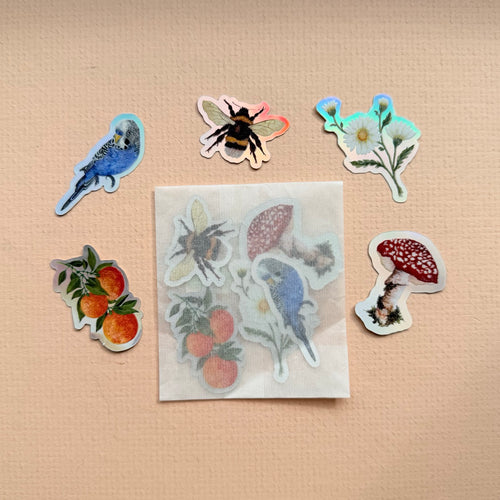 *SAMPLE* Super Seconds Festival - Pack of 5 mini vinyl stickers nature illustrations