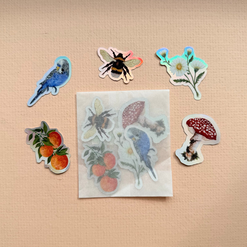 *SAMPLE* Super Seconds Festival - Pack of 5 mini vinyl stickers nature illustrations