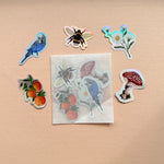 *SAMPLE* Super Seconds Festival - Pack of 5 mini vinyl stickers nature illustrations