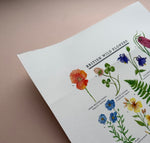 *SECOND* Super Seconds Festival - British Wild Flowers Giclée Print - 30x40cm