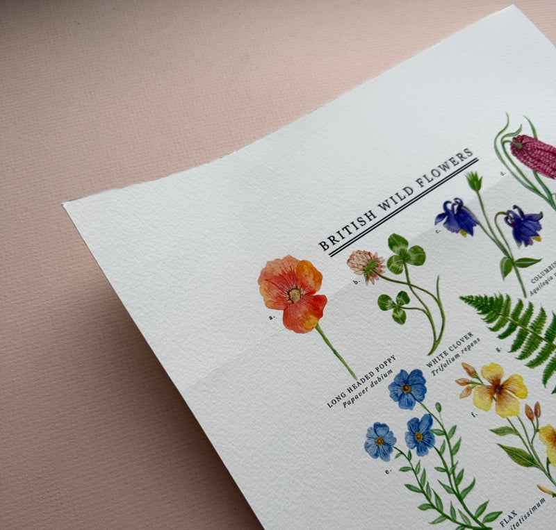 *SECOND* Super Seconds Festival - British Wild Flowers Giclée Print - 30x40cm