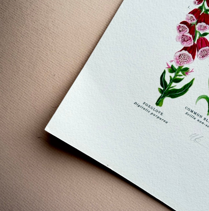 *SECOND* Super Seconds Festival - British Wild Flowers Giclée Print - 30x40cm