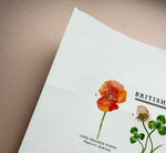 *SECOND* Super Seconds Festival - British Wild Flowers Giclée Print - 30x40cm