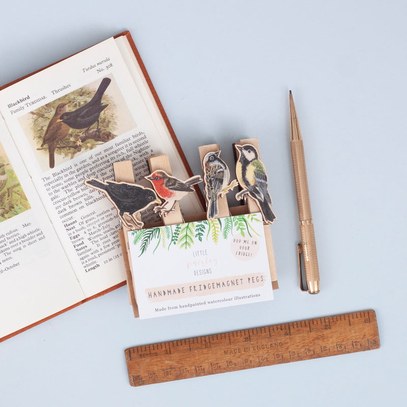 *SALE* Super Seconds Festival -Handmade British Bird Fridge Magnet Pegs - Pack of 4