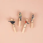 *SALE* Super Seconds Festival -Handmade British Bird Fridge Magnet Pegs - Pack of 4