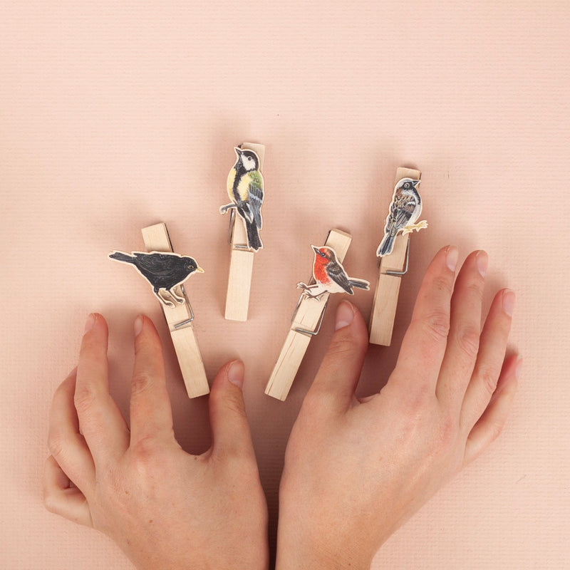 *SALE* Super Seconds Festival -Handmade British Bird Fridge Magnet Pegs - Pack of 4