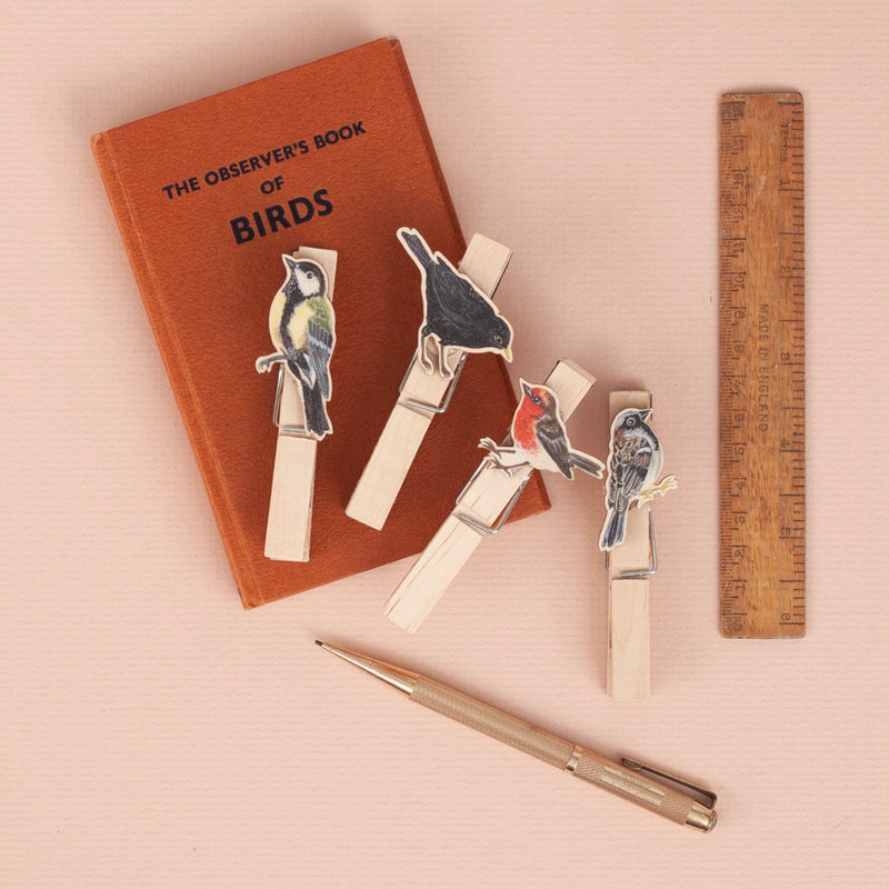 *SALE* Super Seconds Festival -Handmade British Bird Fridge Magnet Pegs - Pack of 4