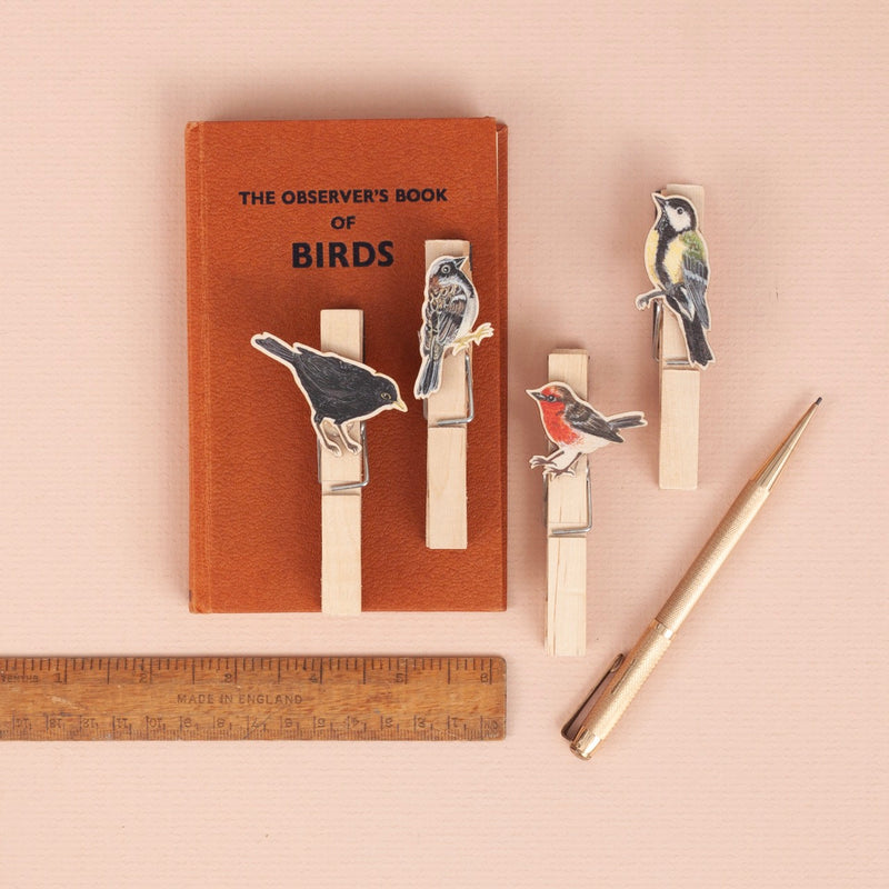 *SALE* Super Seconds Festival -Handmade British Bird Fridge Magnet Pegs - Pack of 4