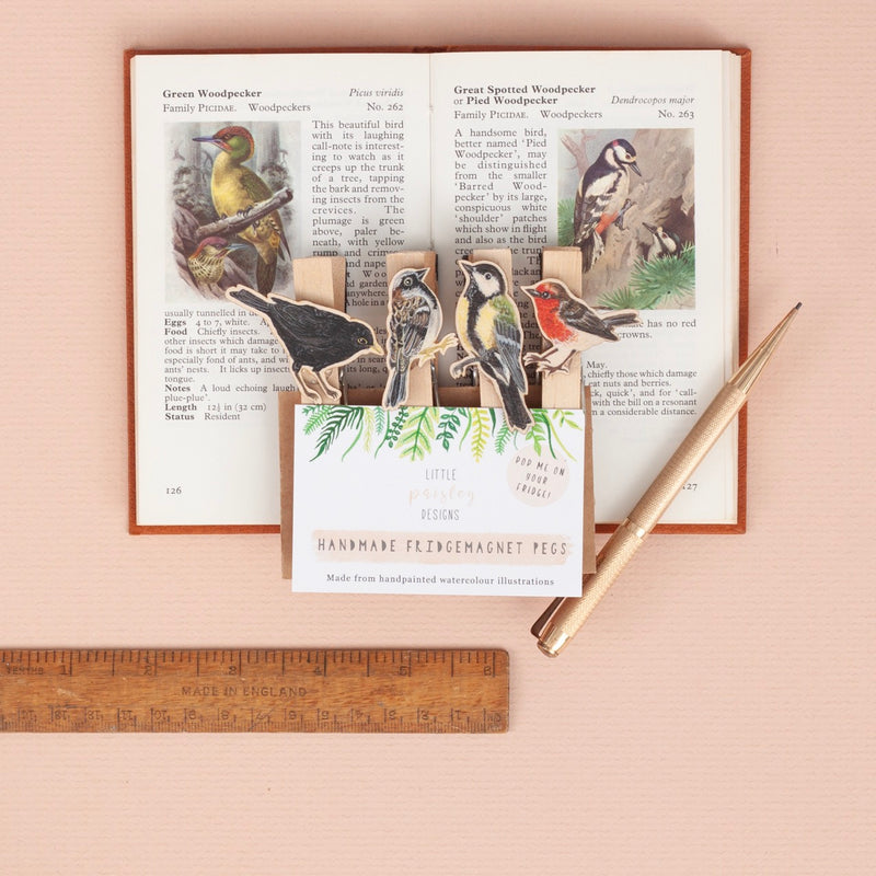 *SALE* Super Seconds Festival -Handmade British Bird Fridge Magnet Pegs - Pack of 4
