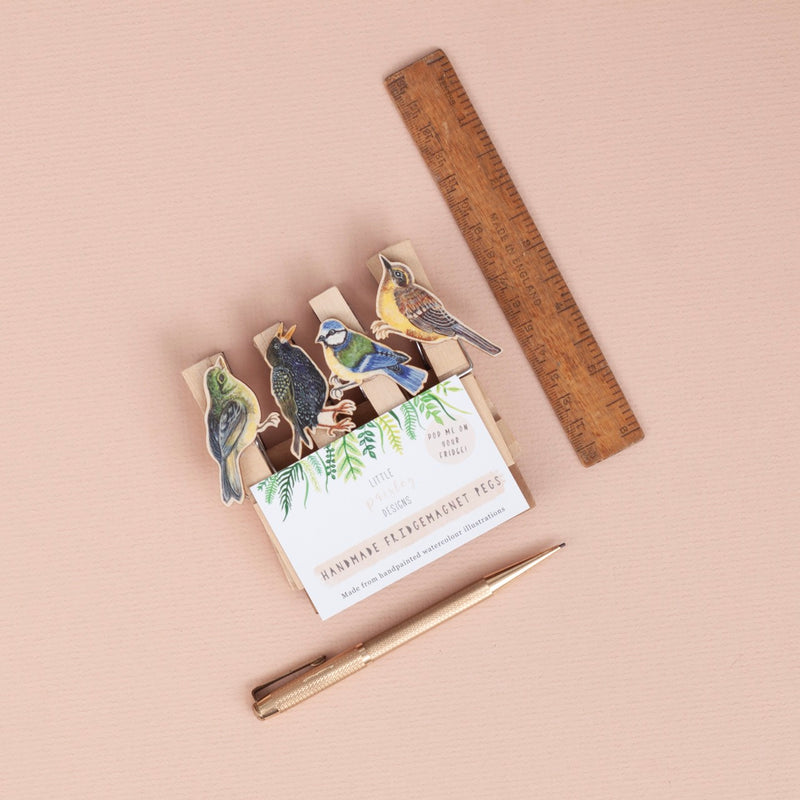 *SALE* Super Seconds Festival -Handmade Garden Bird Fridge Magnet Pegs - Pack of 4