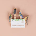 *SALE* Super Seconds Festival -Handmade Garden Bird Fridge Magnet Pegs - Pack of 4