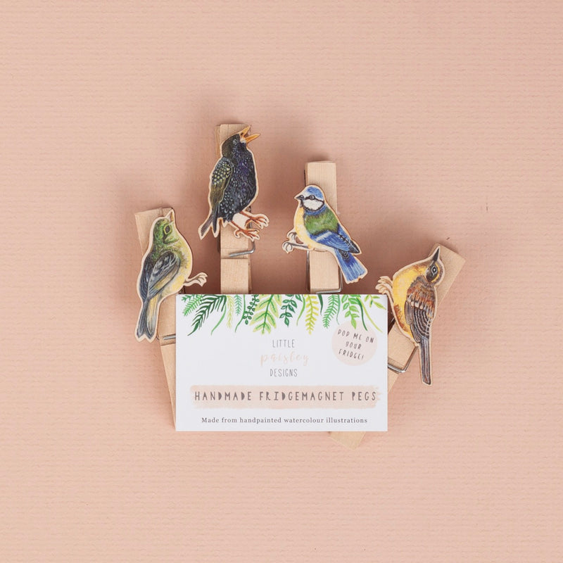 *SALE* Super Seconds Festival -Handmade Garden Bird Fridge Magnet Pegs - Pack of 4