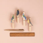 *SALE* Super Seconds Festival -Handmade Garden Bird Fridge Magnet Pegs - Pack of 4