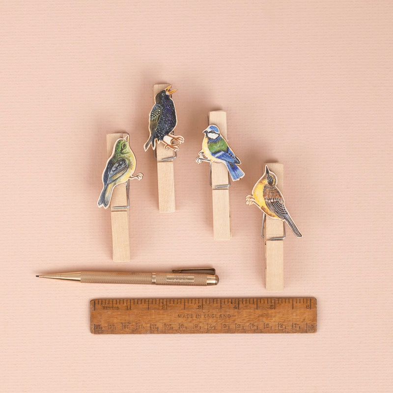 *SALE* Super Seconds Festival -Handmade Garden Bird Fridge Magnet Pegs - Pack of 4