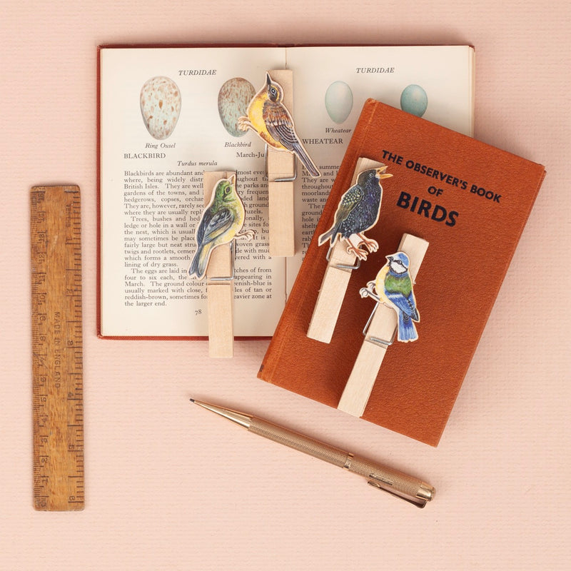 *SALE* Super Seconds Festival -Handmade Garden Bird Fridge Magnet Pegs - Pack of 4