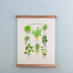 *SALE* Super Seconds Festival - Potted House Plants Giclee Print - 30 x 40 cm