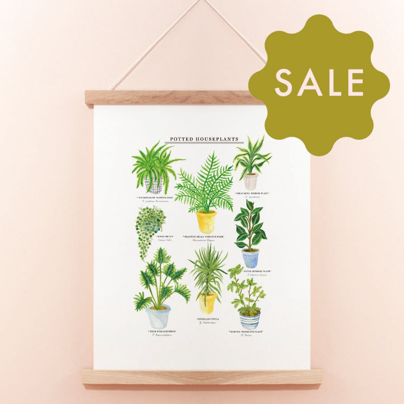 *SALE* Super Seconds Festival - Potted House Plants Giclee Print - 30 x 40 cm