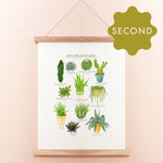 *SECOND* Super Seconds Festival - Cacti & Succulents Illustrated Giclée Print - 30x40cm