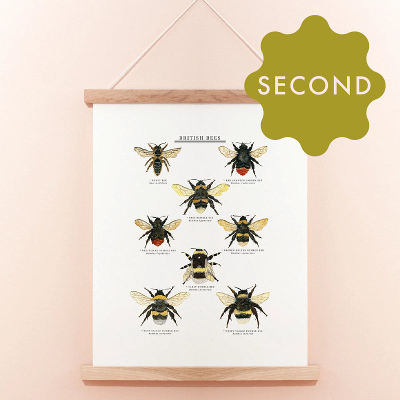 *SECOND* Super Seconds Festival - British Bees Giclee Print - 30x40cm