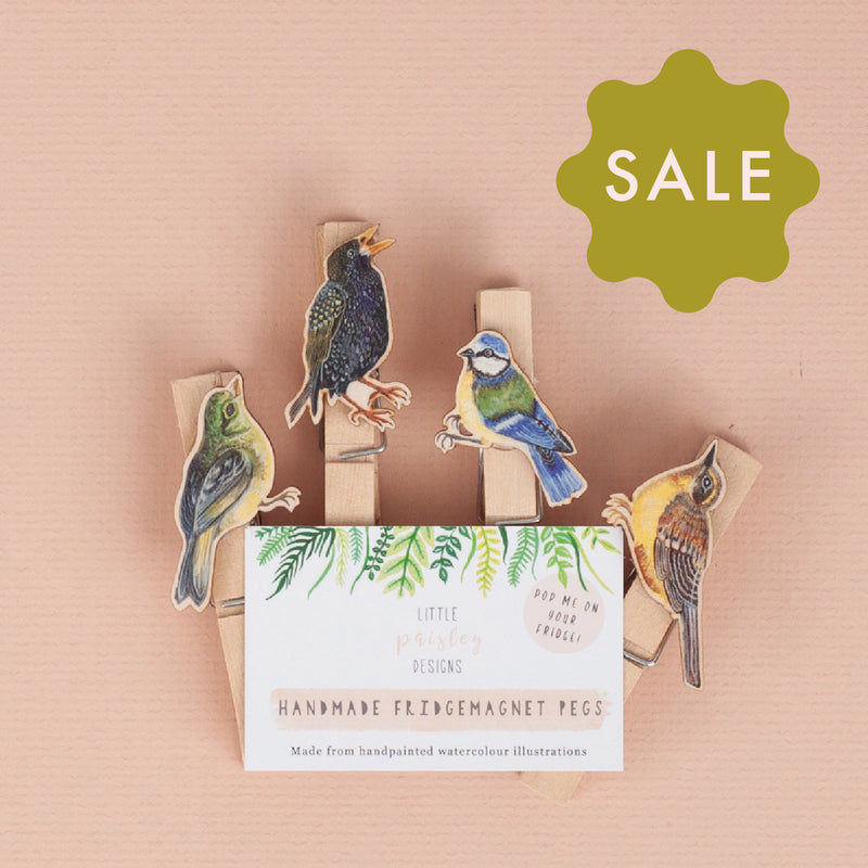 *SALE* Super Seconds Festival -Handmade Garden Bird Fridge Magnet Pegs - Pack of 4