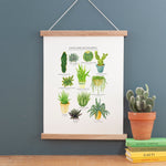 *SECOND* Super Seconds Festival - Cacti & Succulents Illustrated Giclée Print - 30x40cm